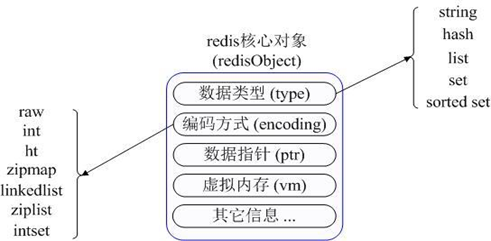 Redis数据模型图